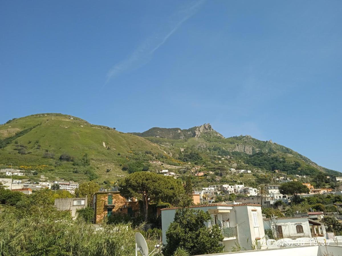 Villa Thomas Bb Conduzione Familiare Forio (Isola d'Ischia) Exterior foto