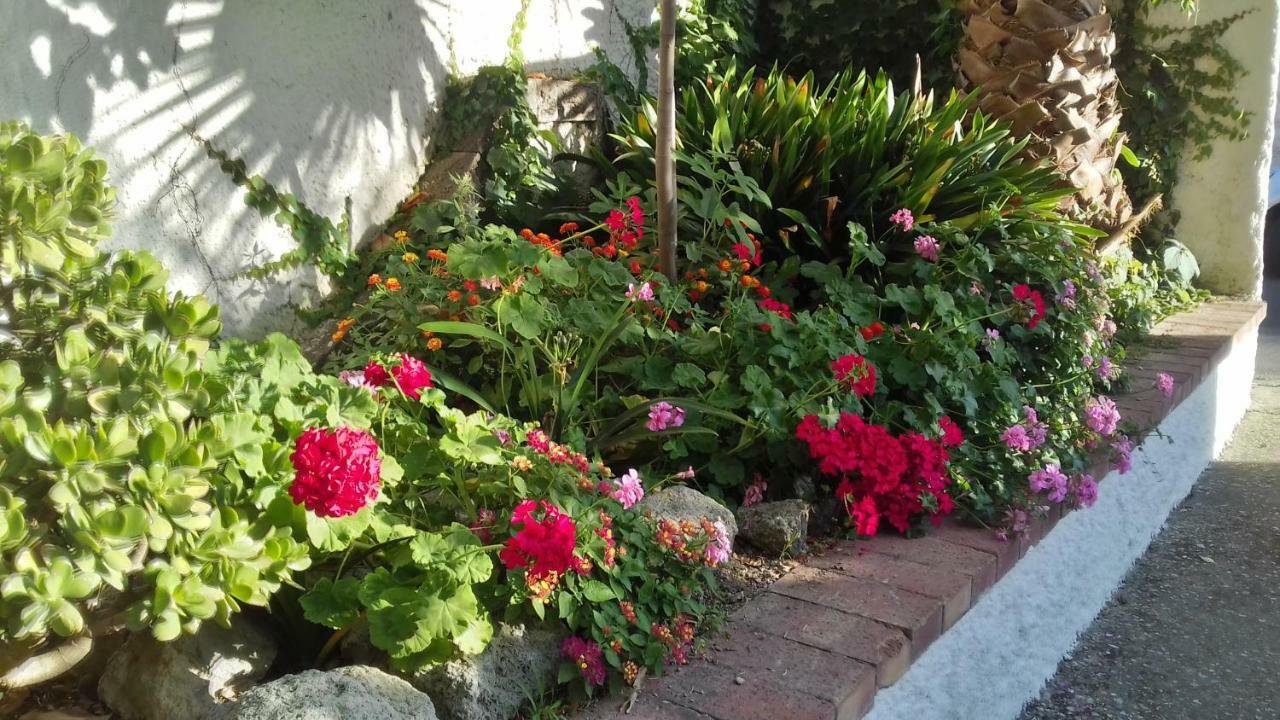 Villa Thomas Bb Conduzione Familiare Forio (Isola d'Ischia) Exterior foto